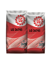 lg-36745